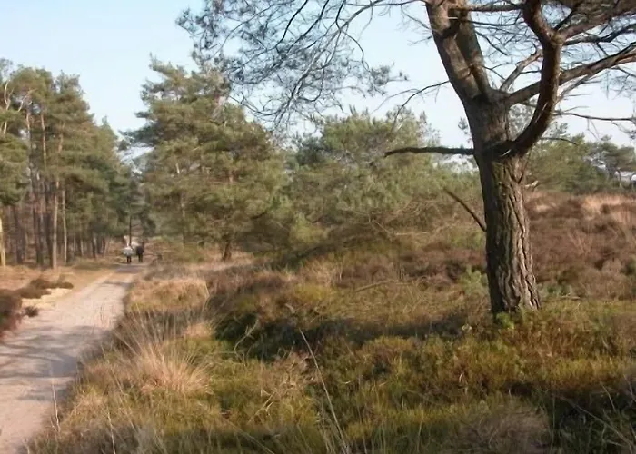 Fletcher Restaurant Epe-zwolle 4* Epe