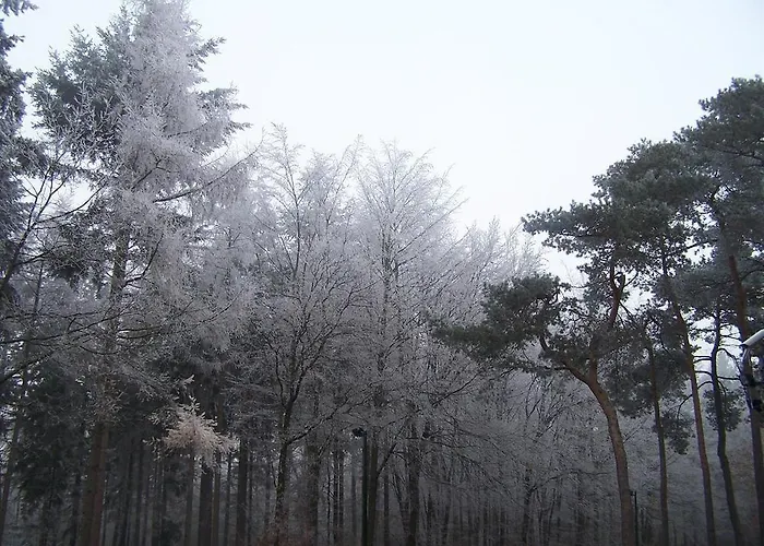 Fletcher Restaurant Epe-zwolle 4*